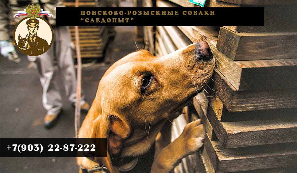 Обеспечение взрывобезопасности объектов Обеспечение взрывобезопасности объектов