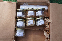 Дрессировка собак по поиску взрывчатых веществ ВВ