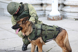 Поиск взрывчатых веществ: обследование помещения на взрывчатку